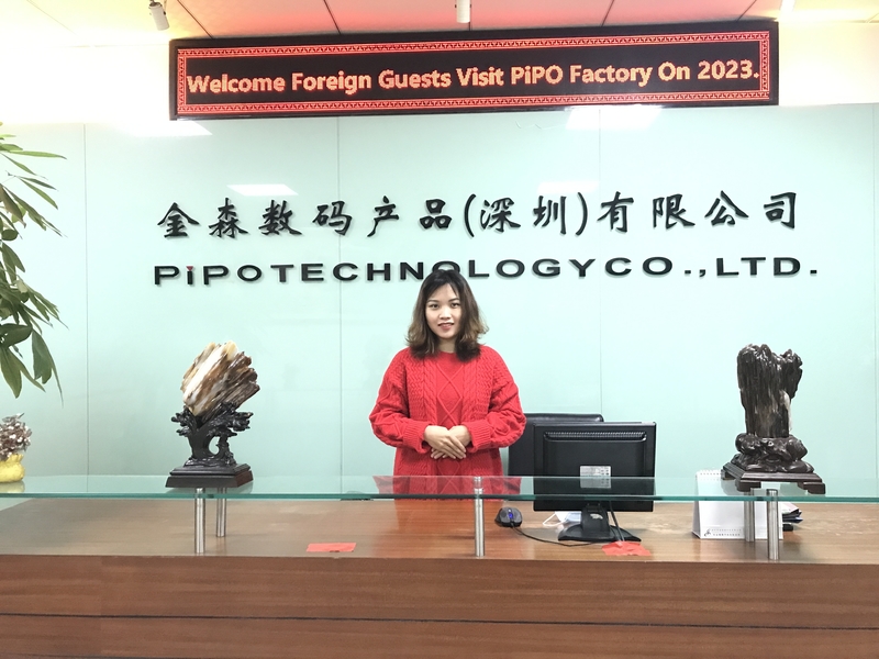 China PIPO company profile
